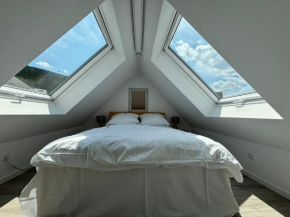 Alte Apotheke - Moderne Wohnung mit Dachgeschoss